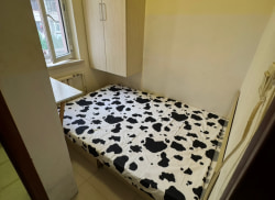 独栋·高寓 三八店 218 可押一付一 开间_39中和阳街租房