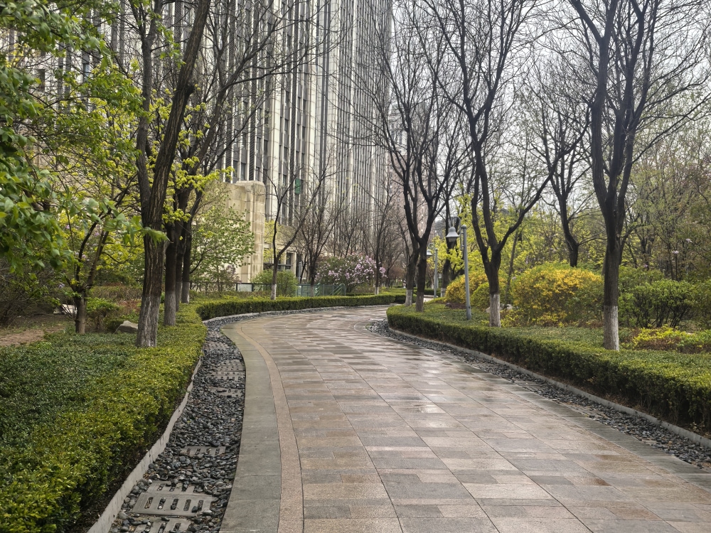 软景店
