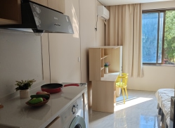 独栋·雅晨公寓 彩香二区店 精装 凯璟顿公寓 独厨独卫 近桐泾北1号线 开间_彩香一村二区租房