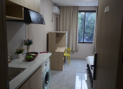 独栋·雅晨公寓 彩香二区店 精装凯璟顿公寓 房东直租 近石路商圈 近地铁 交通通勤方便 开间_彩香一村二区租房