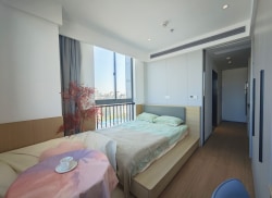 独栋·贝壳海盐公寓 大宁店 贝壳自营 保租房 大宁区域东向采光 电梯直达 近大宁国际 1室1厅_大宁财智中心租房