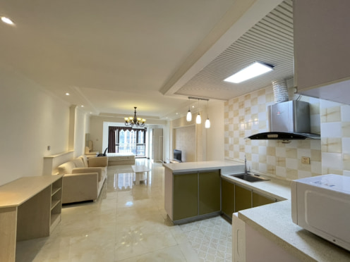 独栋·成都You佳公寓 保利心语四期店 高新区 天府三街 软件园套一电梯房 1室1厅