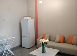 独栋·品牌·公寓 海豚公馆 明厨明卫带天然气一室一厅 1室1厅_狮山小区租房