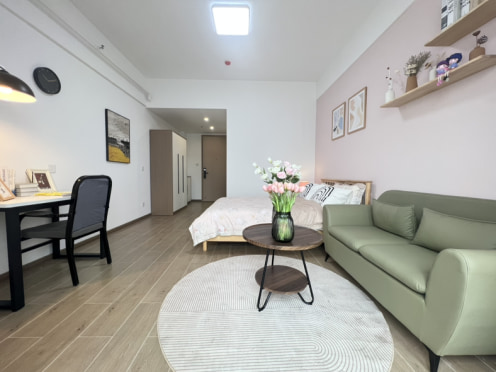 独栋·长沙理想家公寓 长沙医学院店 双11大促特价长沙医学院一居室 免费停车 免中介减333 开间