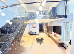 独栋·佑城地产 浑南奥体中心店 特价！历史低价！押一付一 可月付 能养宠物 沿海国际 复式公寓！ 1室1厅_沿海国际中心租房