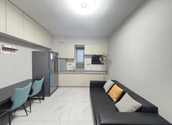 独栋·佑城地产 浑南奥体中心店 押一付一 精装两室 住宅公寓 独立衣帽间 家电全！ 1室1厅_沿海国际中心租房