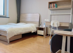 独栋·大象公寓 彩云城店 开发区青年公寓  毕业生专属福利 开间_华明大厦租房