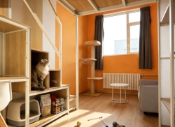 独栋·大象公寓 春晖路店 猫咪友好房型*loft一居室*无中介费*押一付一*烟大山商*观海大厦悦海大厦 1室1厅_泊寓租房