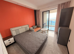 独栋·卓信公寓 中央公园御府 民用水电费 包物业 超大阳台明卫 1室1厅_百捷·中央公园御府租房