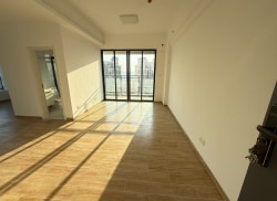 独栋·颐家公寓· 尚东公馆 水口街道 尚东国际两房一线江景房 家具配置中！ 2室1厅_尚东公馆租房