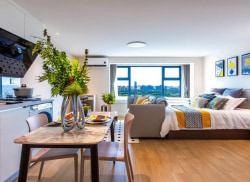 独栋·邻海公寓 九龙湖店 【地铁站200米！】大落地窗！三号线东大九龙湖步行2分钟！ 1室1厅_融信城市之窗租房