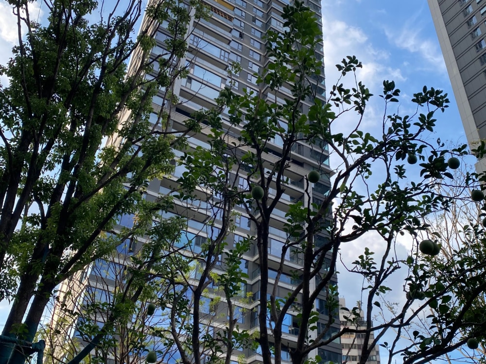 长沙鼎盛公寓·万科臻湾汇公寓出租_长沙长沙鼎盛公寓·万科臻湾汇独栋公寓房源【长沙贝壳租房】