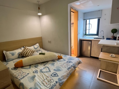 独栋·泊寓 石路社区店 【石路地铁口】·电梯房·民用水电.押一付一.猫咪友好 开间