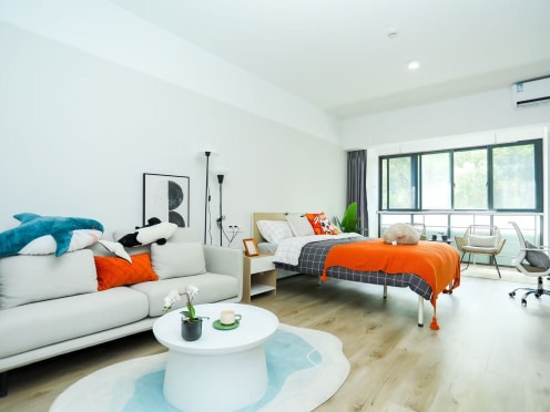 独栋·泊寓 阳山店 【南向明亮 - 精致户型】 布局合理 - 入住轻松！ 开间