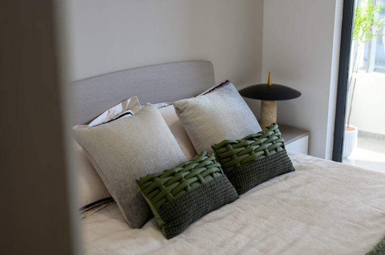 G60全新央企公寓，九亭地铁免费班车，人才补贴叠加折扣，双朝南温馨两室，宠物友好实体墙好停车