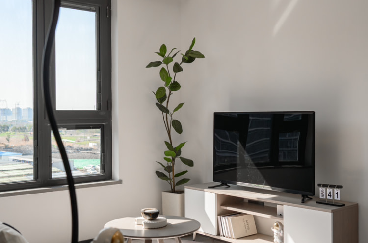 G60全新央企公寓，九亭地铁免费班车，人才补贴叠加折扣，双朝南温馨两室，宠物友好实体墙好停车