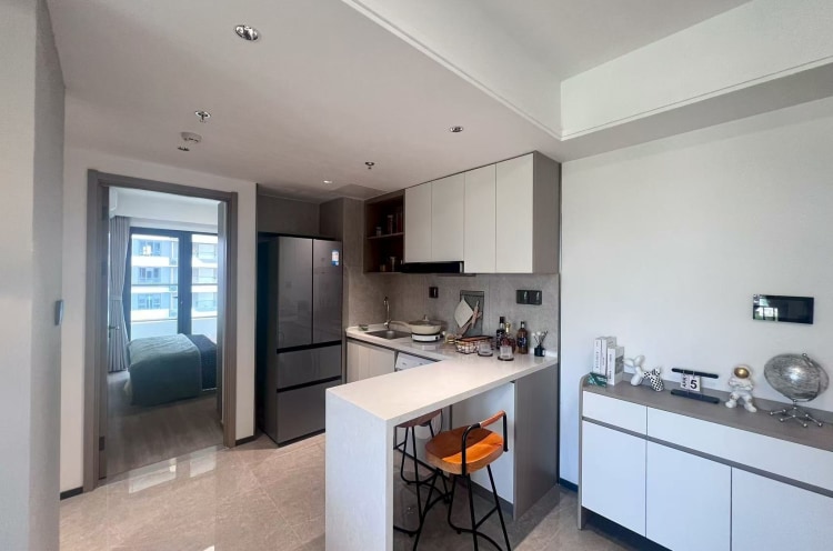 G60全新央企公寓，九亭地铁免费班车，人才补贴叠加折扣，双朝南温馨两室，宠物友好实体墙好停车