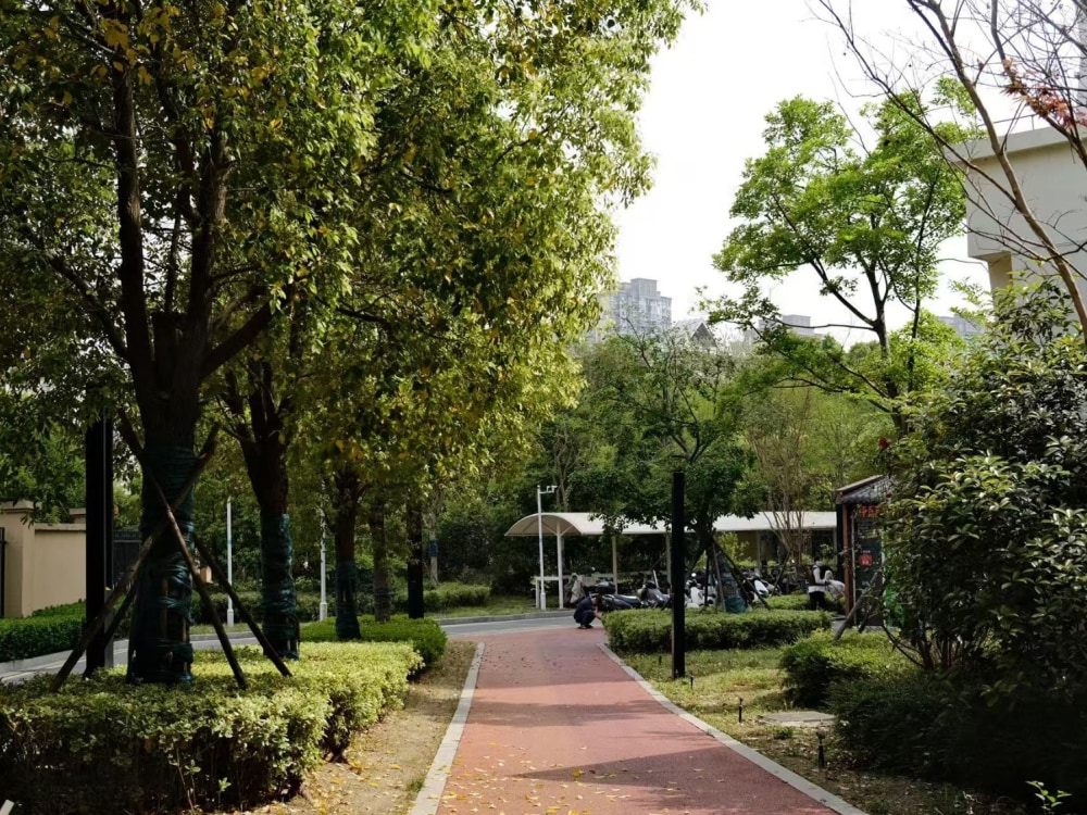 滨江紫园店
