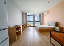 独栋·稻梦公寓 吴江店 -大面积奢居-干净整洁-地铁口-免服务费-管家服务 1室1厅_稻谷人工智能产业园租房