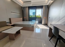 独栋·德威公寓 会江店 独栋 全新精装阳台大单间（采光超好） 开间_德威智造园租房