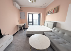 独栋·长鸿公寓 碧桂园城市之光店 （不短租）万家丽 人民东路 精装一室 拎包入住 1室1厅_碧桂园城市之光租房