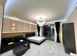 独栋·小美公寓 小美公寓（南稍门店） 轻奢装修 无中介费 近地铁  一居室 1室1厅_翡翠明珠租房