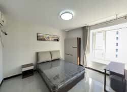 合租·瑞城 4居室 南卧_瑞城租房