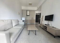 独栋·华庭 华发国际产业园 珠海北站附近，无中介费 、停车费，先到先得 1室1厅_中以加速器宿舍租房