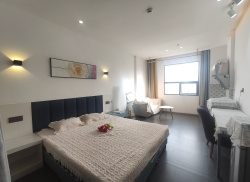 独栋·蜜租公寓 孺子路店 六眼井地铁附近经典舒适大开间 开间_孺子路租房