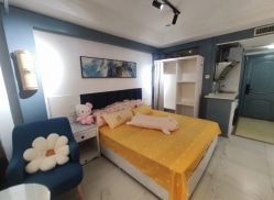 独栋·蜜租公寓 南昌大桥店 桃苑南昌大桥地铁口/电梯房直租/拎包入住押一付一 开间_丽都广场租房