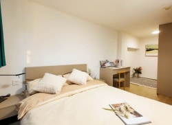 独栋·厦门思寓 盛元广场店 【年末特惠】标准单间 免中介费 拎包入住 马青路 1室1厅_盛元广场租房