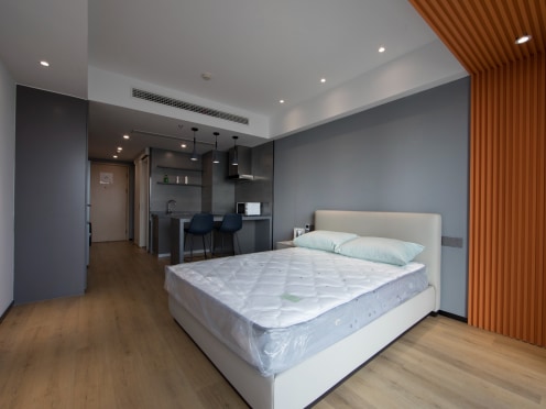 独栋·共享家公寓 南岸新地公寓B座 可优租 家电齐全 免费健身房 24小时安保 开间