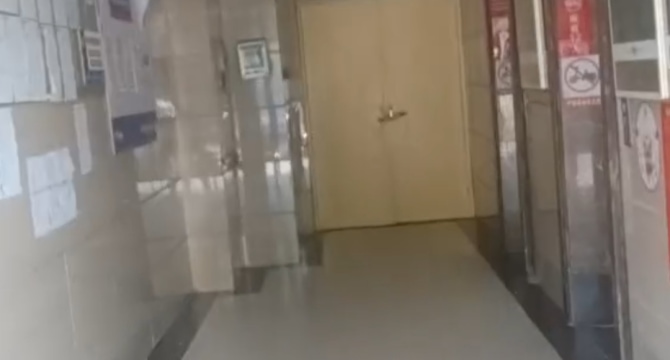 东方芙蓉