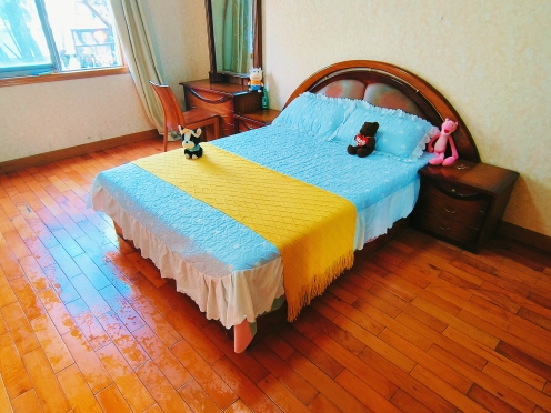 合租·桐梓林北路3号 5居室 南卧