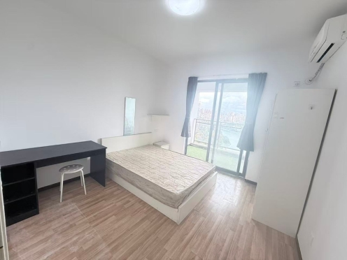 合租·东苑F区 3居室 南卧