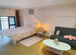 独栋·泊寓 魁奇路地铁站店 【限时免租一个月】魁奇路地铁口 40平飘窗一房 开间_世博广场租房