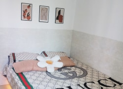 独栋·66公寓 66公寓 赤坎老街精装公寓 光线好带阳台近超市 2室1厅_洪屋下村一村租房