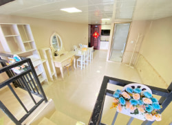 独栋·扬舲公寓 胜利商厦店 温馨大复式 自家的房子 包管理网络维修 1室1厅_胜利商厦租房